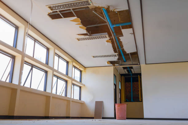 Best Water damage restoration cost  in Violet, LA
