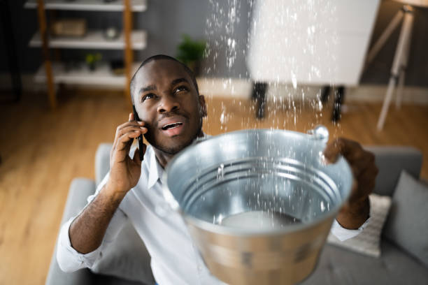 Best Sewage cleanup and water damage restoration  in Violet, LA
