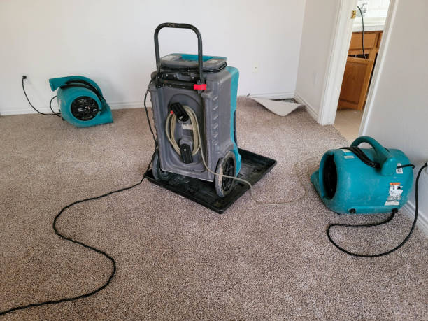 Best Flood restoration services  in Violet, LA