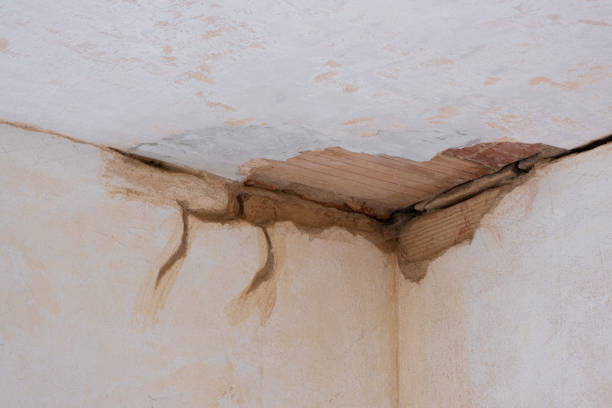  Violet, LA Water damage restoration Pros