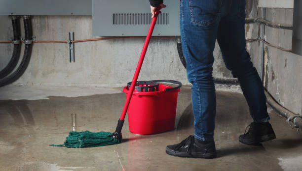 Best Water damage restoration specialists  in Violet, LA