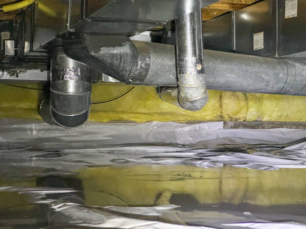 Best Basement water damage restoration  in Violet, LA