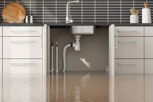 Best Residential water damage restoration  in Violet, LA