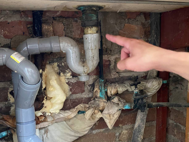 Best Local water damage restoration  in Violet, LA