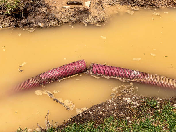 Water damage restoration mold remediation in Violet, LA
