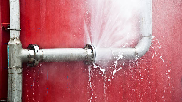 Best 24/7 water damage repair  in Violet, LA