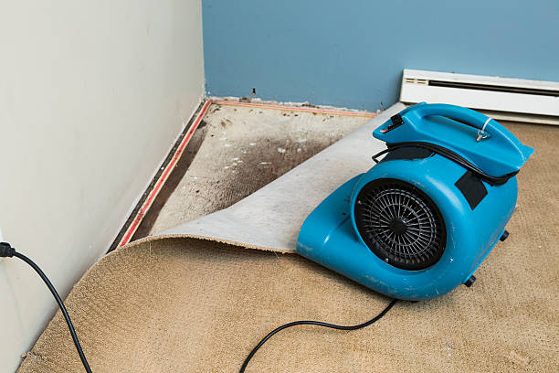 Best Flooded house restoration  in Violet, LA